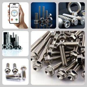 bu lông mắt inox 304